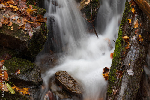 Mingo Falls in Great Smoky Mountains National Park photo