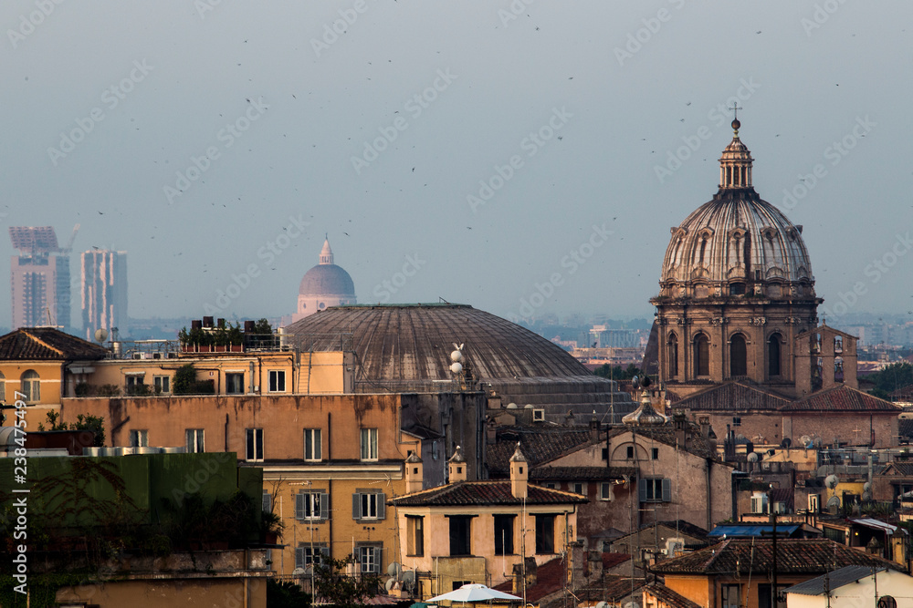 Looking the monument and the roof of Rome