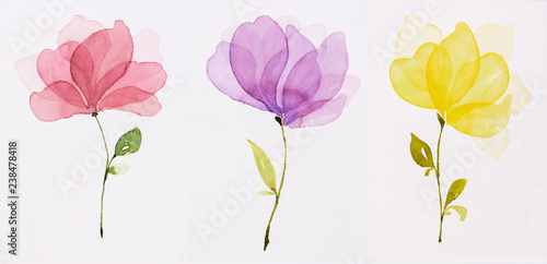 Picture water colour, hand draw, Red flowers, purple, yellow.