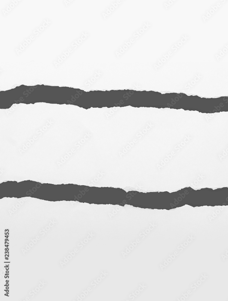 Fototapeta premium Torn paper with copy space area for text or banner. Ripped paper texture background.