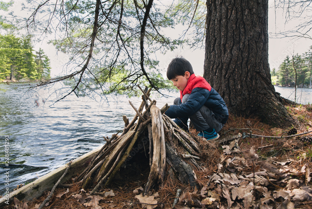custom made wallpaper toronto digitalFull length of boy crouching by firewood on lakeshore in forest