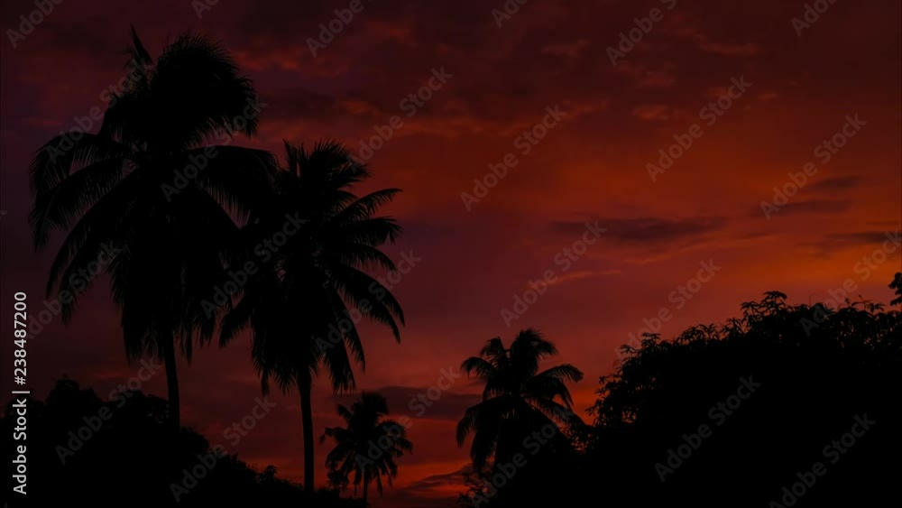 Timelaps ofing fluffy clouds in the evening sky during sunset over tree. Timelaps ofing fluffy clouds in the evening sky during sunset over tree.
