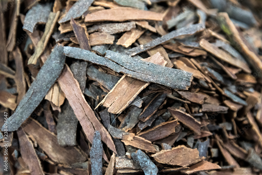 Closeup of Cinnamon from yemen selective focus Closeup of Cinnamon from yemen selective focus
