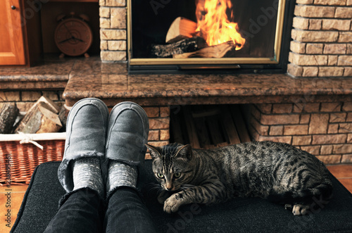 Low section of woman wearing shoes while tabby cat sitting on ottoman photo