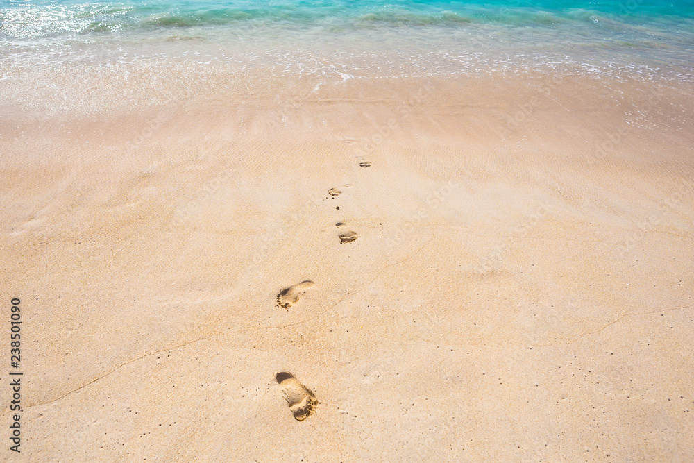 Footprints on a sand at the beach on sunny day Footprints on a sand at the beach on sunny day