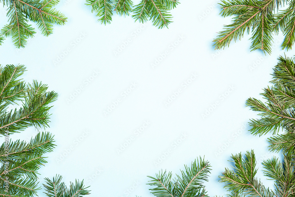 Obraz premium Christmas green framework isolated on blue background.