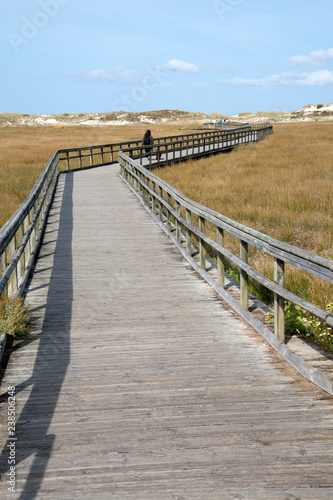 Walkway at Carmota Beach  Coruna  Galicia