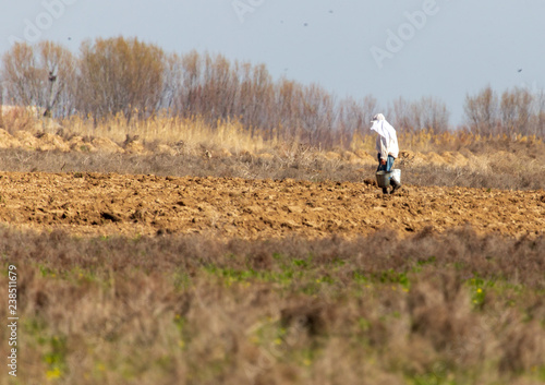 Wallpaper Mural People work in the field in the spring Torontodigital.ca