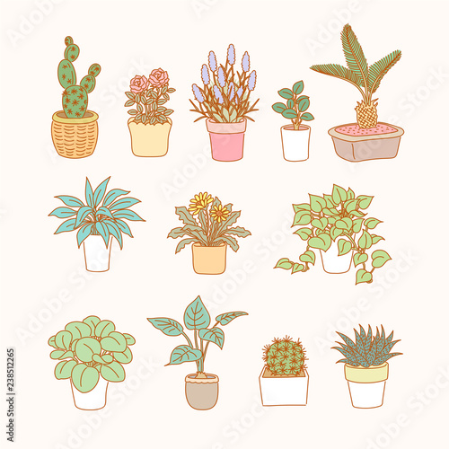 Pot plants collection in line style