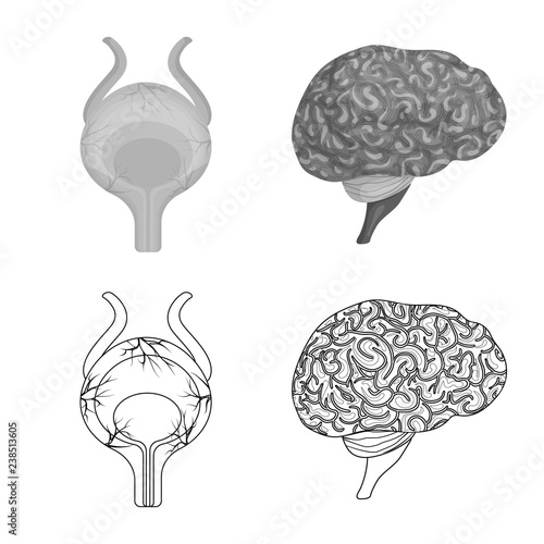Isolated object of body and human symbol. Collection of body and medical stock vector illustration.