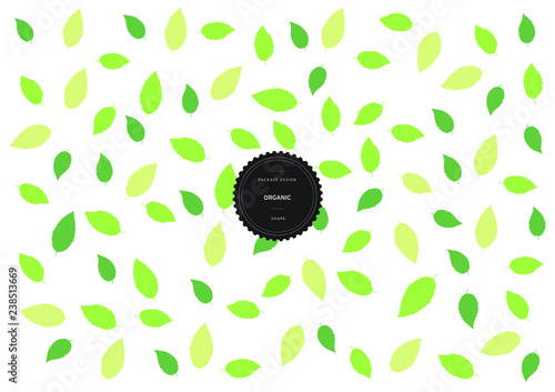 Organic pattern for background and stickers with logos. Beech Leaf. Vector packaging design elements and templates. 