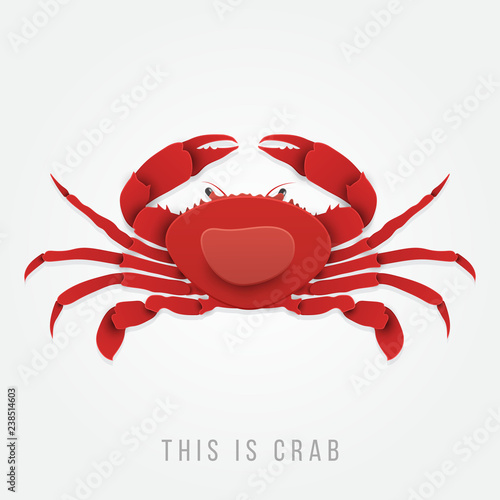 Crab vector in trendy paper cut craft style. Vector illustration for advertising, branding greeting card, cover, poster, banner.