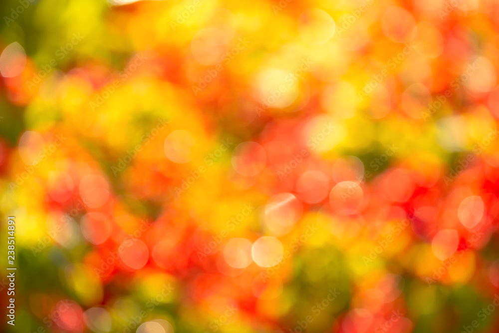 magic bright saturated blurred light for background design, overlay. The background is colorful bokeh. For a festive, seasonal design. Horizontal outdoor photo taken in the Golden autumn. magic bright saturated blurred light for background design, overlay. The background is colorful bokeh. For a festive, seasonal design. Horizontal outdoor photo taken in the Golden autumn.