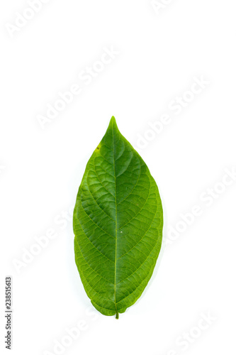 Leaf Rangoon Creeper Close up