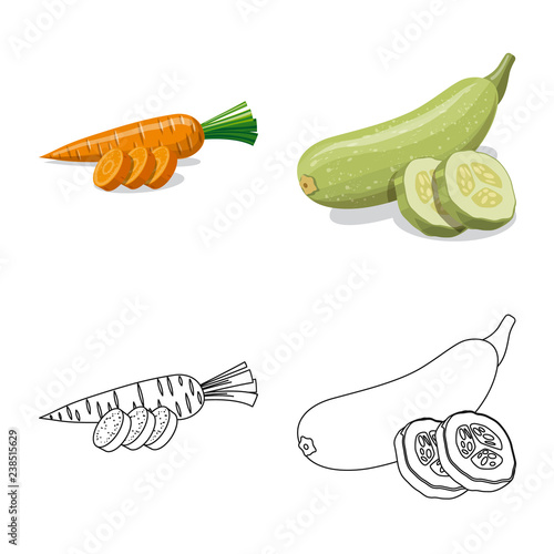 Vector design of vegetable and fruit logo. Set of vegetable and vegetarian stock symbol for web.