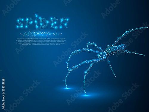 Climbing Spider silhouette. Polygonal space low poly illustration. Poison, danger symbol. Connection wireframe mesh structure. Vector on dark blue background