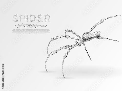Origami style, Climbing Spider silhouette. Polygonal space low poly illustration. Poison, danger symbol. Connection wireframe mesh structure. Vector on white background