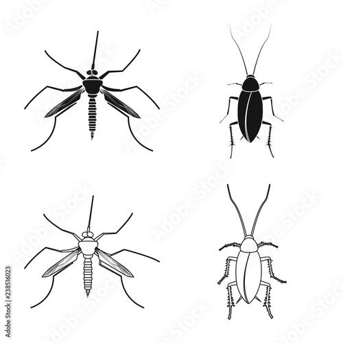 Vector design of insect and fly symbol. Collection of insect and element stock vector illustration.