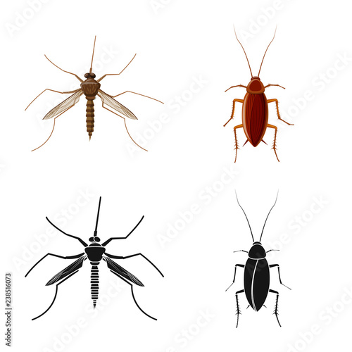 Vector illustration of insect and fly symbol. Collection of insect and element stock vector illustration.