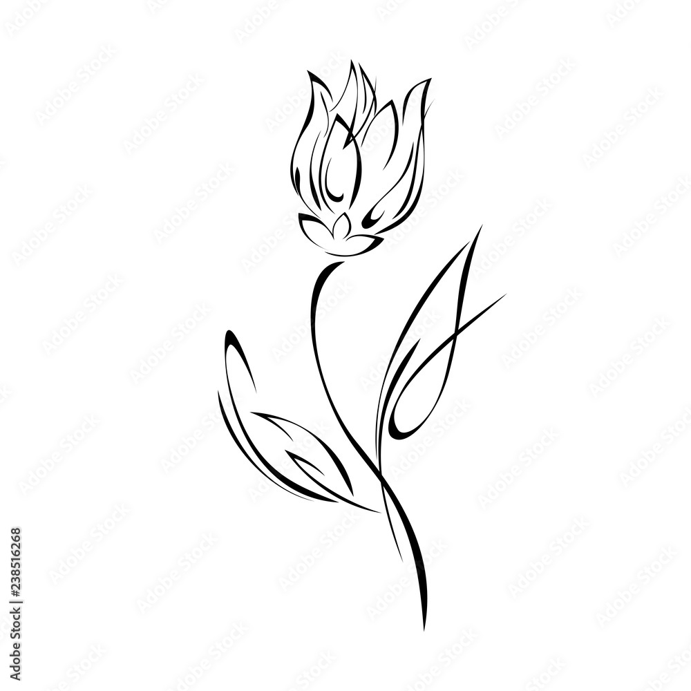 stylized Tulip flower with leaf in black lines on white background stylized Tulip flower with leaf in black lines on white background