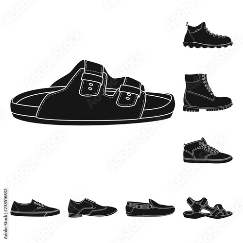 Vector design of shoe and footwear icon. Set of shoe and foot stock symbol for web.