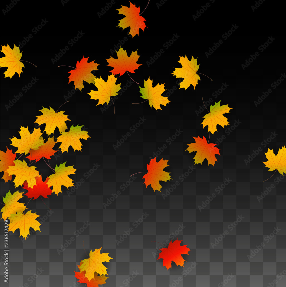 September Vector Background with Golden Falling Leaves. Autumn Illustration with Maple Red, Orange, Yellow Foliage. Isolated Leaf on Transparent Background. Bright Swirl. Suitable for Posters. September Vector Background with Golden Falling Leaves. Autumn Illustration with Maple Red, Orange, Yellow Foliage. Isolated Leaf on Transparent Background. Bright Swirl. Suitable for Posters.