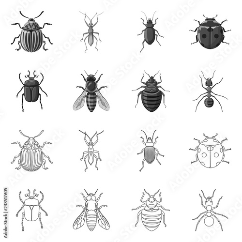 Vector design of insect and fly logo. Set of insect and element stock vector illustration. © Svitlana