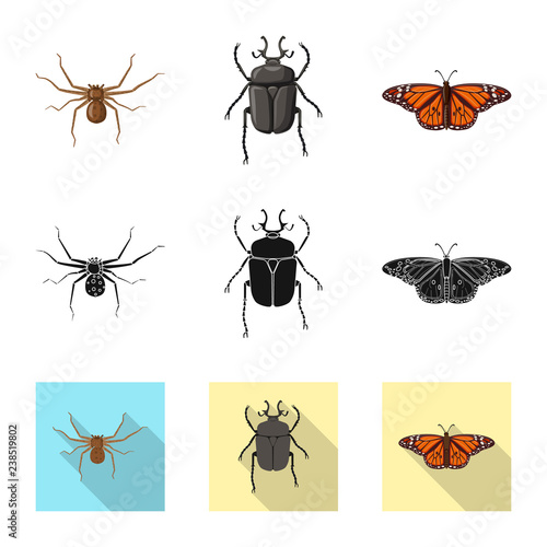 Vector design of insect and fly logo. Collection of insect and element stock symbol for web. © Svitlana