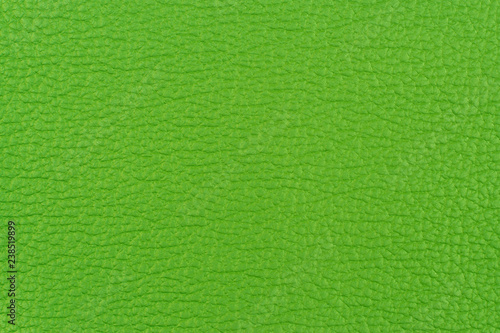 Wallpaper Mural Green leather texture closeup, useful as background. Abstract background, empty template. Torontodigital.ca
