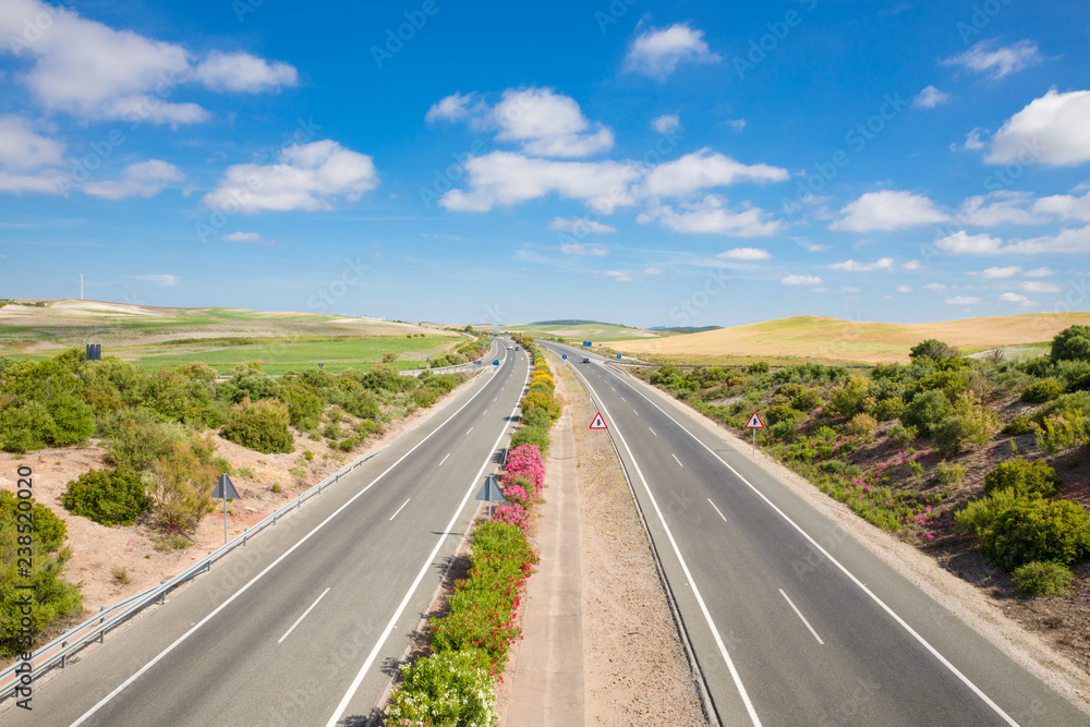lonely endless highway in beautiful nature landscape of Cadiz (Andalusia, Spain, Europe), until horizon with blue sky and clouds