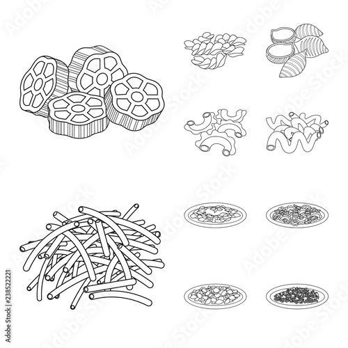 Isolated object of pasta and carbohydrate logo. Set of pasta and macaroni vector icon for stock.