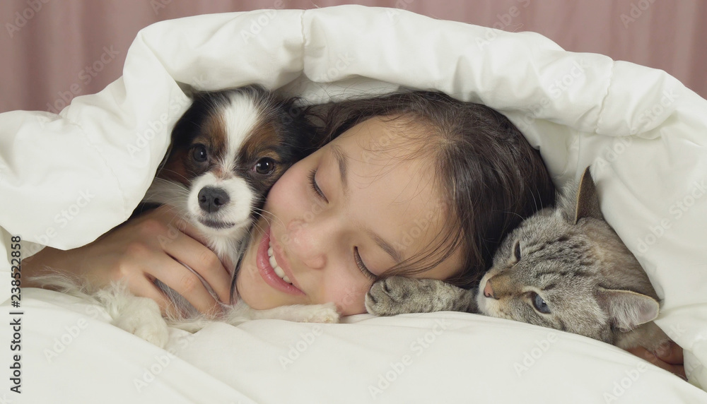 Happy teen girl communicates with dog Papillon and Thai cat in bed Happy teen girl communicates with dog Papillon and Thai cat in bed