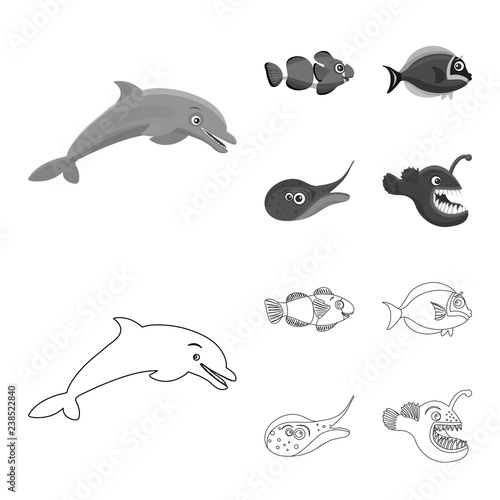 Isolated object of sea and animal sign. Set of sea and marine stock symbol for web.