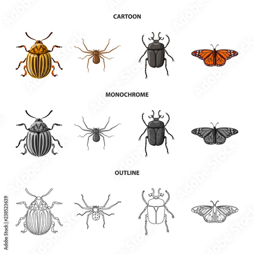 Vector design of insect and fly logo. Collection of insect and element stock vector illustration. © Svitlana