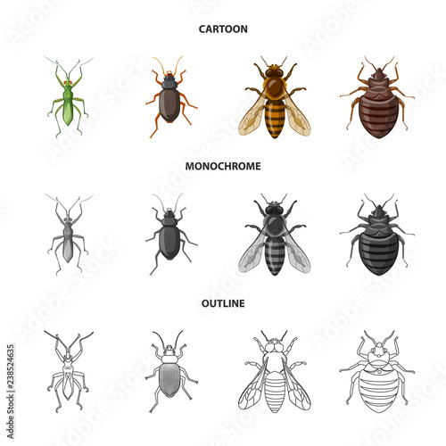 Isolated object of insect and fly symbol. Set of insect and element stock vector illustration.