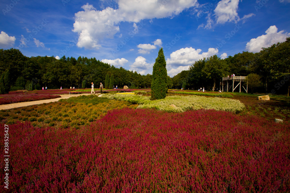 Schnevedinger Heidegarten