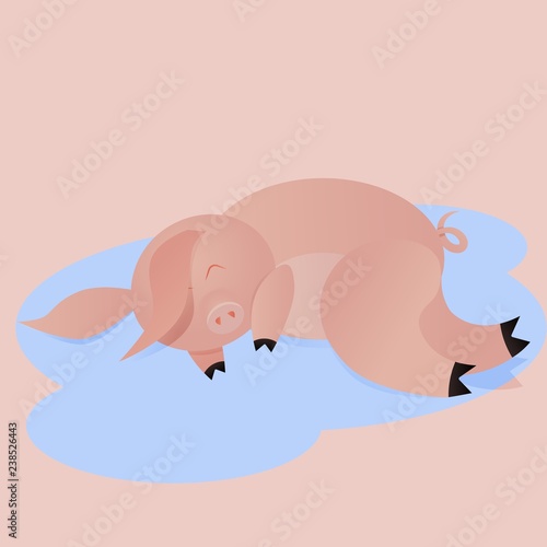 Bad pig, pig sleeping in a puddle, concept of antisocial behavior,
