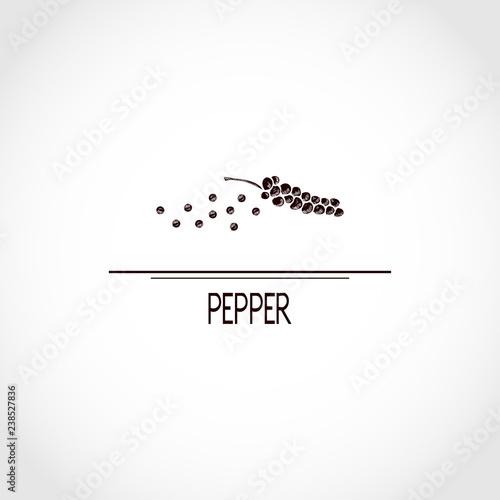 Pepper. Plant. Branch, fruit. Logo, sticker, emblem. Silhouette