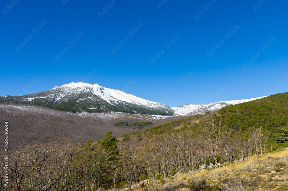 landscape of snowy mountains