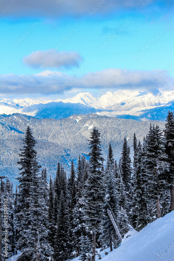 winter mountain landscape with trees and snow