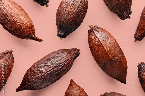 Cocoa pods on a pink background, creative flat lay food concept photo