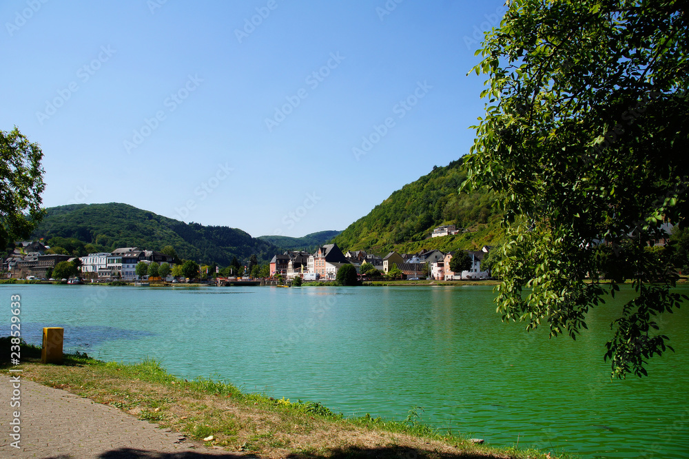 Fototapeta premium Weinort Alf an der Mosel gegenüber von Bullay 