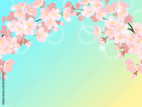 桜の背景イラスト