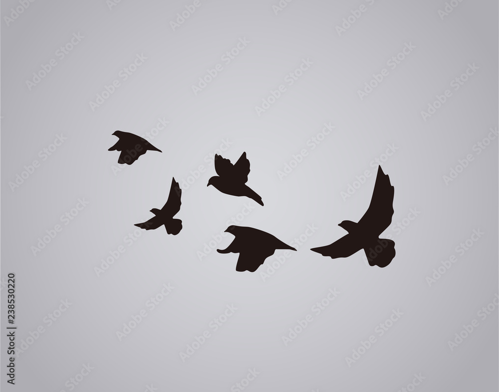 Vector silhouette flying birds on white background Bird Tattoo Stock  Vector  Adobe Stock