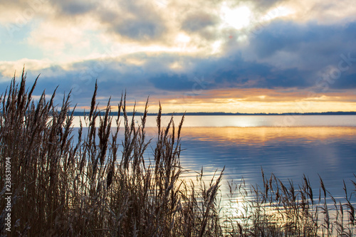 reeds at sunset and a lake