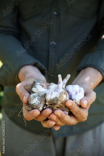 Farmer with garlic