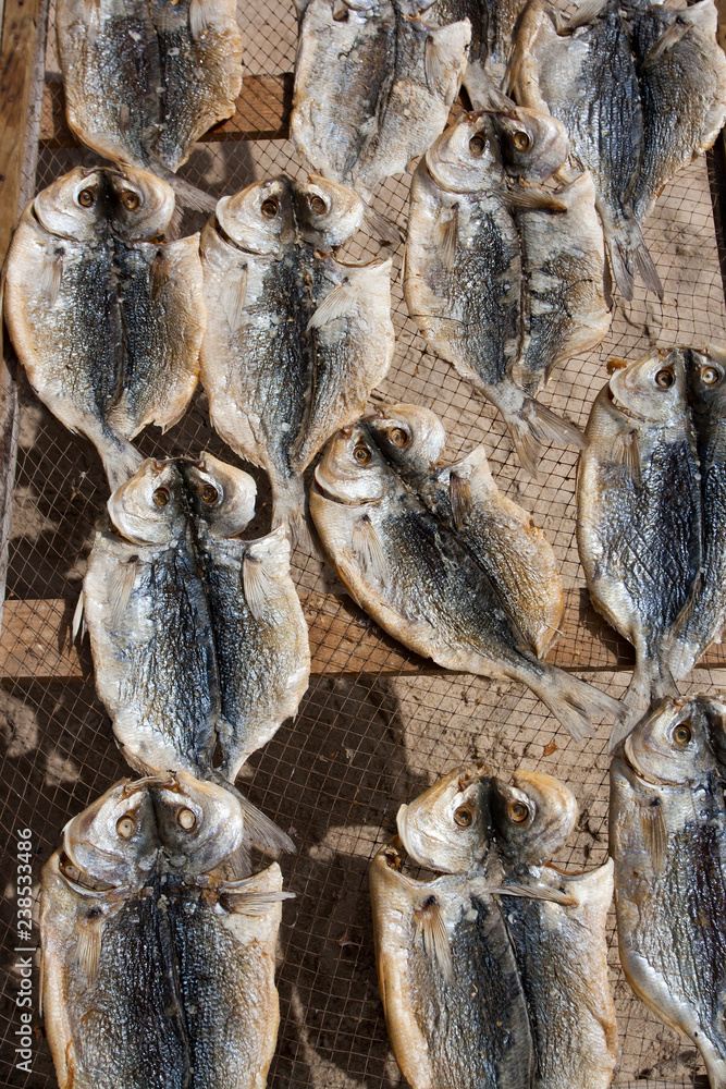 Fish put to dry in the sun on the beach in Portugal