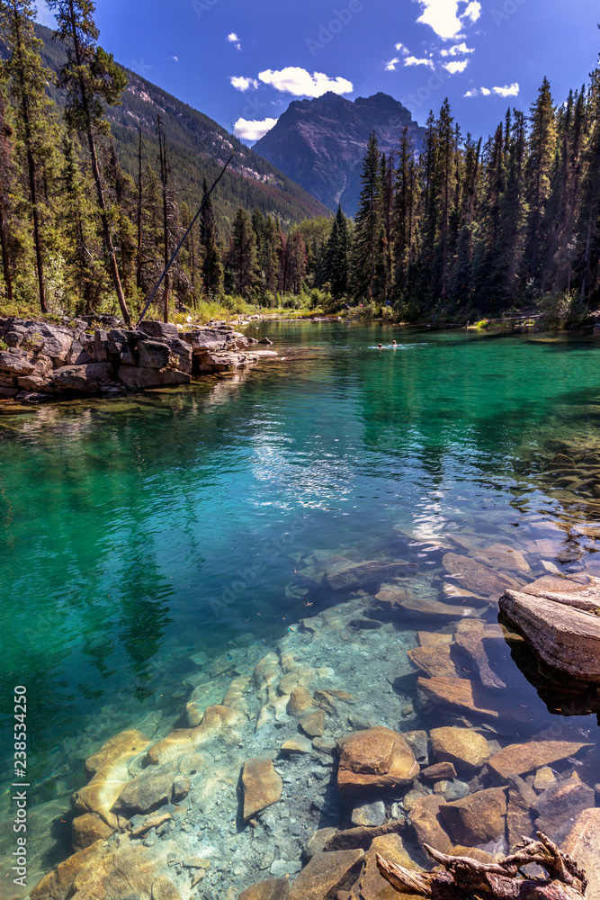 Very clear water with some rocks and pine trees in a blue sky day in Banff National Park in Canada