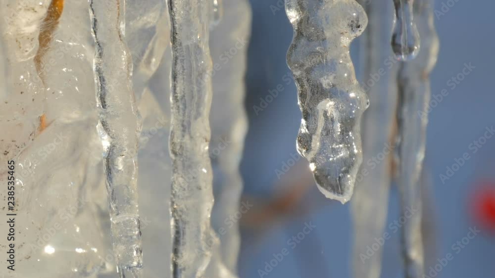 Large number of melting icicles sparkling and shimmering in the spring sun Large number of melting icicles sparkling and shimmering in the spring sun