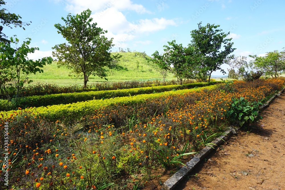 Colorful blooming shrubs in a formal garden with trees and hill behind and blue sky overhead in rural Laos